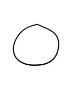 КОЛЬЦО УПЛОТНИТЕЛЬНОЕ APACH AF500 456023 181591