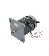 ДВИГАТЕЛЬ ДЛЯ ТЕСТОМЕСА HURAKAN HKN-80SN2V 378021