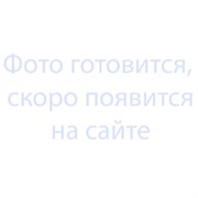 Мотор-редуктор в сборе для блинного аппарата РК-2.1 универсального типа УТ000007290